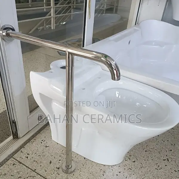 Supportive Toilet Handles