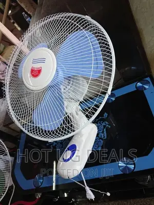 Crown Wall Fan