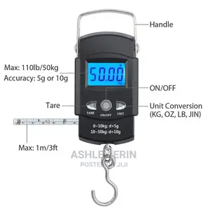 Portable Travel Scale