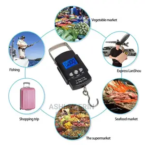 Portable Travel Scale