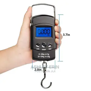 Portable Travel Scale