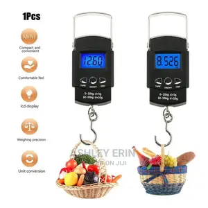 Portable Travel Scale