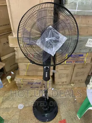 Sayona Electric Stand Fan
