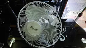 Parlight Powerful Ceiling Fan