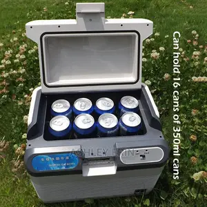Portable Cooling Mini Car Refrigerator