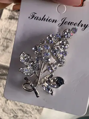 Silver Brooches Available