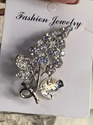 Silver Brooches Available