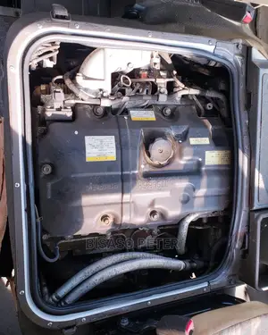 Mitsubishi Fuso Rosa 2009 White