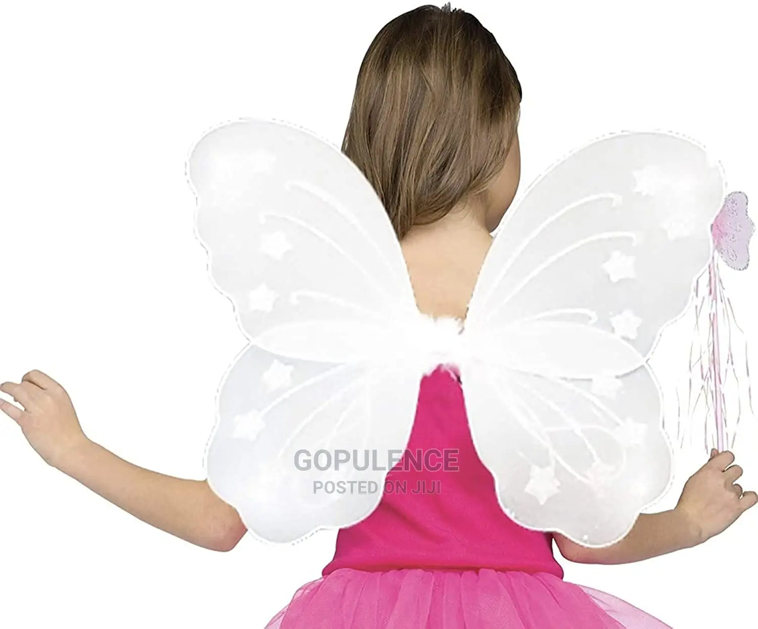 Butterfly Wings
