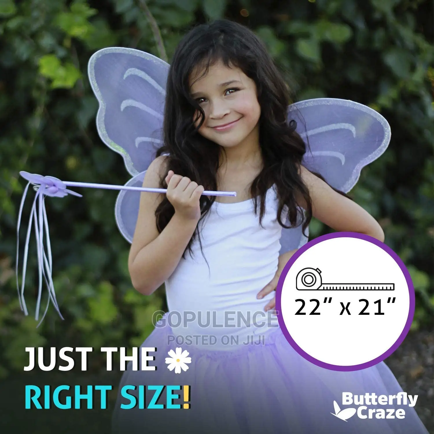 Butterfly Wings