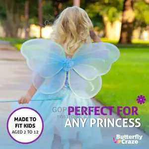 Butterfly Wings