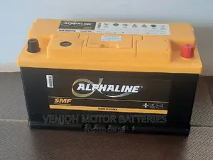 Din100 Made in Korea Car Battery
