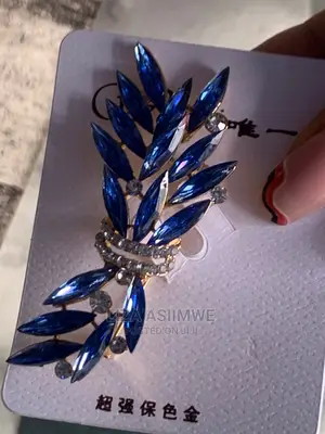 Classy Brooches Available