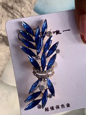 Classy Brooches Available