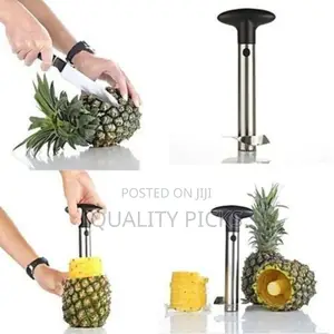 Pineapple Cutter