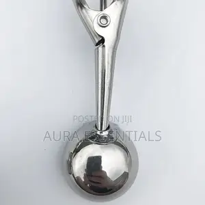 Easy Handheld Stainless Steel Multi Use Ice Cream Scoop