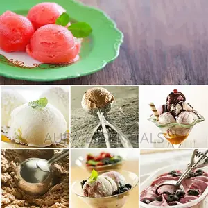 Easy Handheld Stainless Steel Multi Use Ice Cream Scoop