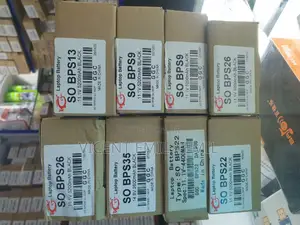 Sony Laptop Battery BPS13