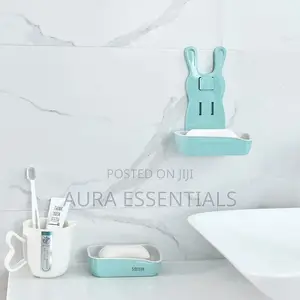 Wall Mounted Plastic Soap Rack