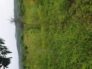 15 Acars in Single Lutete Hoima Road for Sale 20m Per Acar