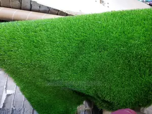 Artificial Grass Carpets