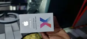 iPhone Charger