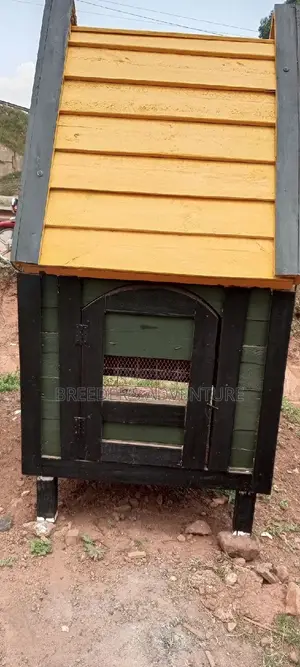 New Dog House