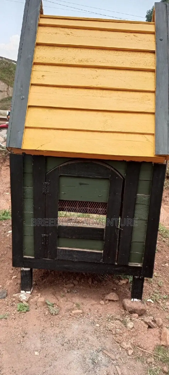 New Dog House