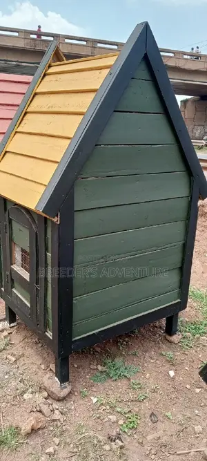New Dog House