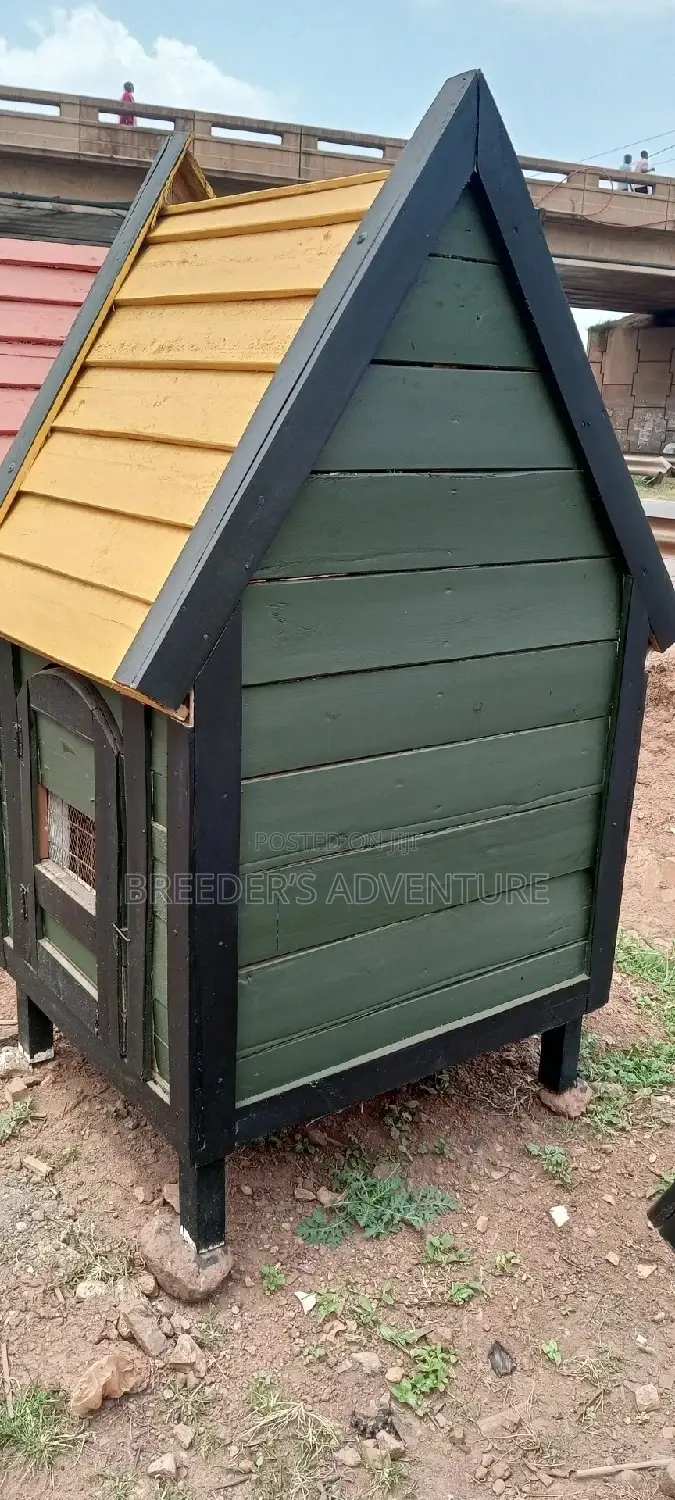 New Dog House