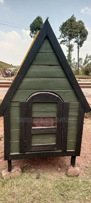 New Dog House