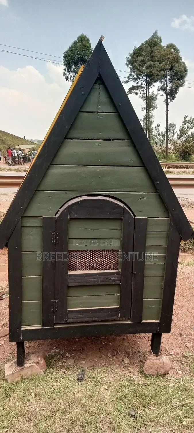 New Dog House