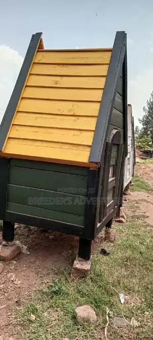 New Dog House