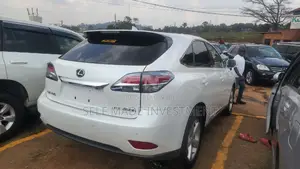 Lexus RX 2014 White