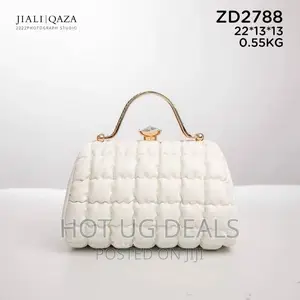 Ladies Designer Handbags