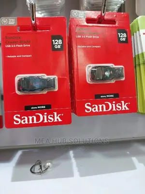 Flash Disk