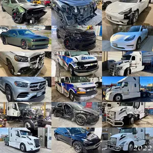 All Vehicles. Pannel Beat/Spray