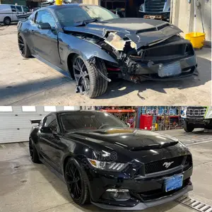 Vehicle Front Body Repair/Spray