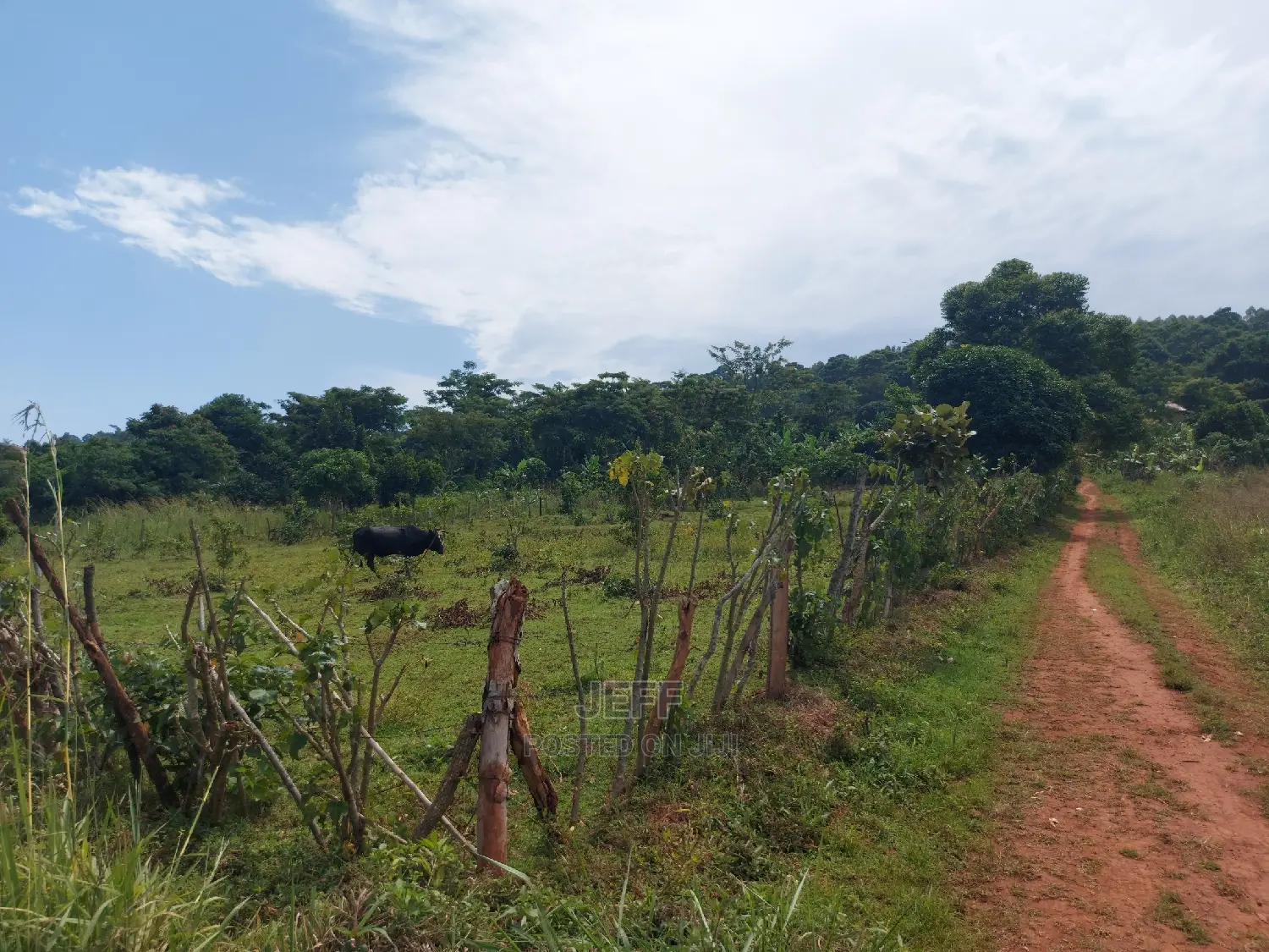 Land in Mukono