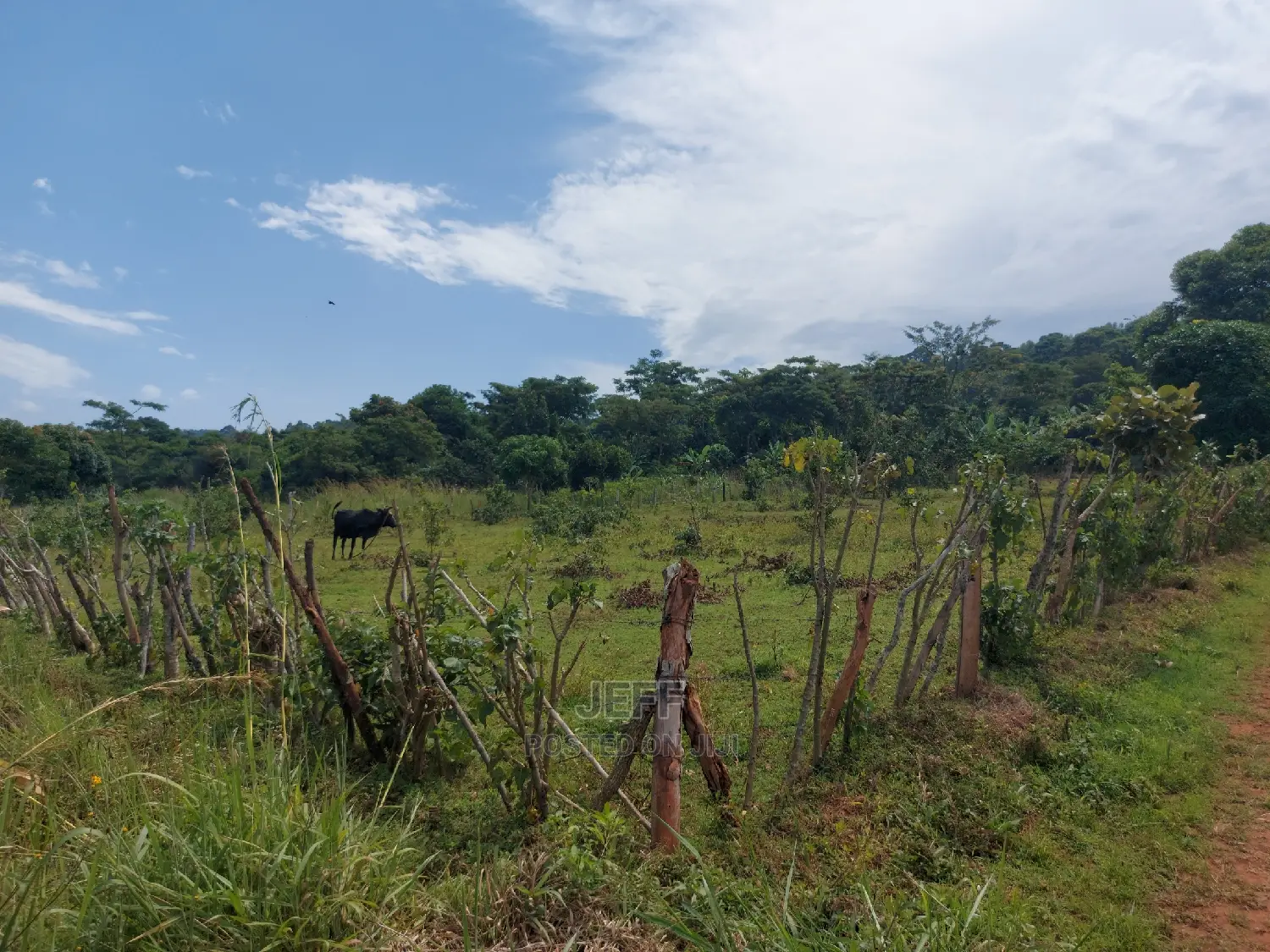 Land in Mukono