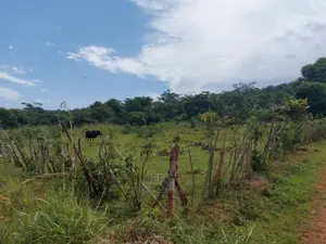 Land in Mukono