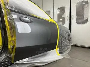 Vehicle Paint Correction/Enhancement