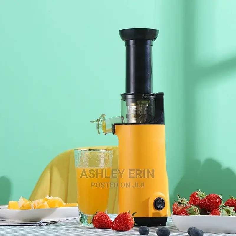 Portable Electric Juicer