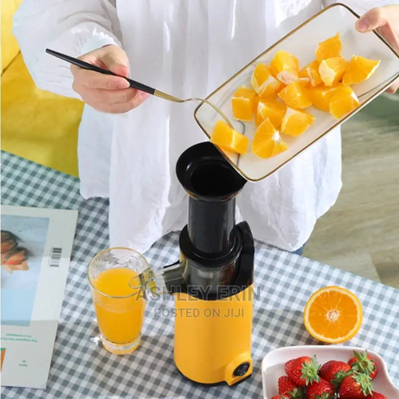 Portable Electric Juicer
