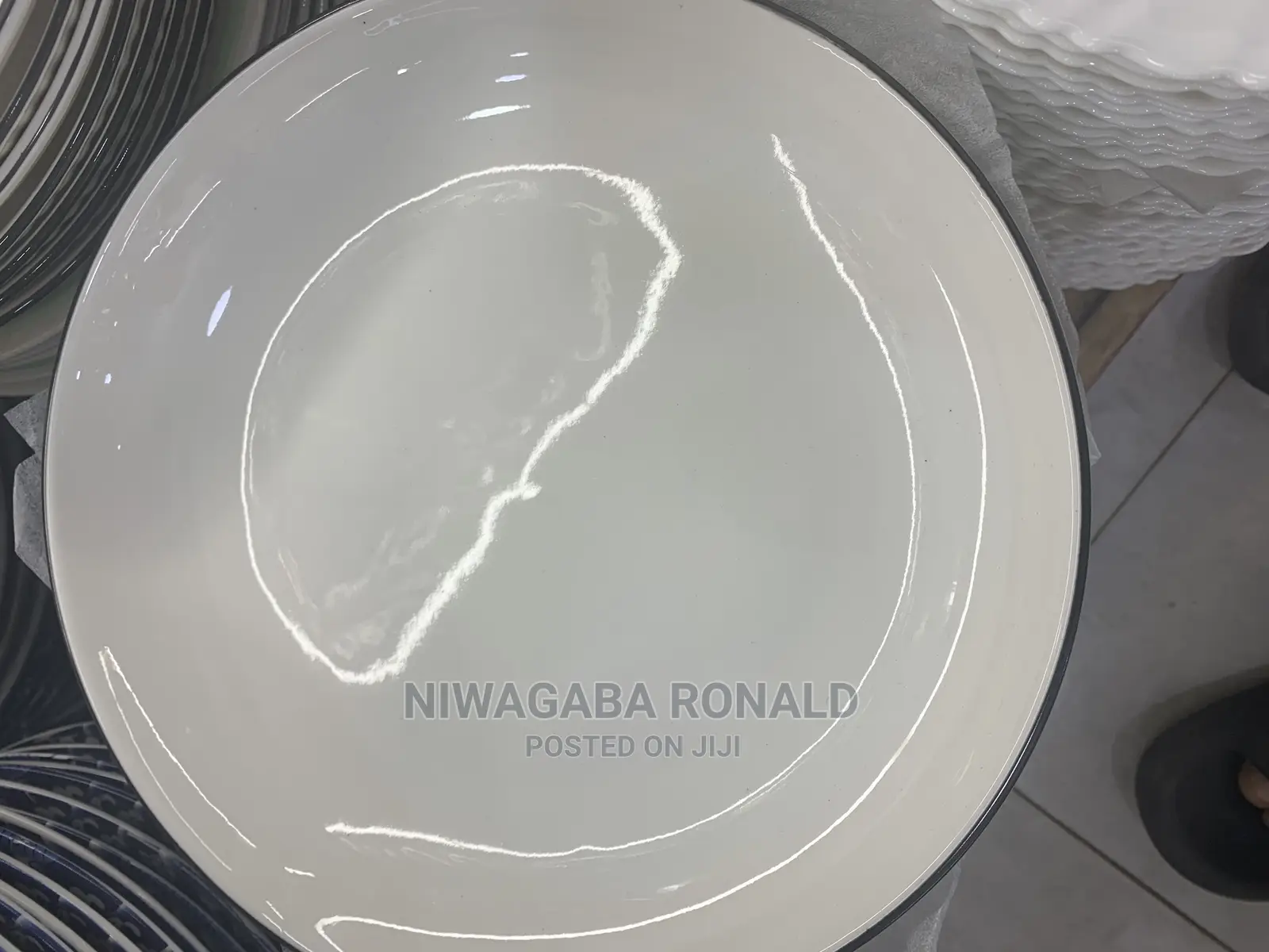 B~Line Dinner Plate