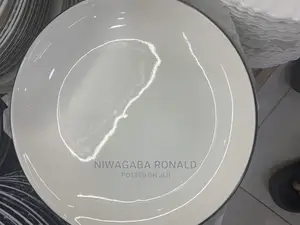 B~Line Dinner Plate