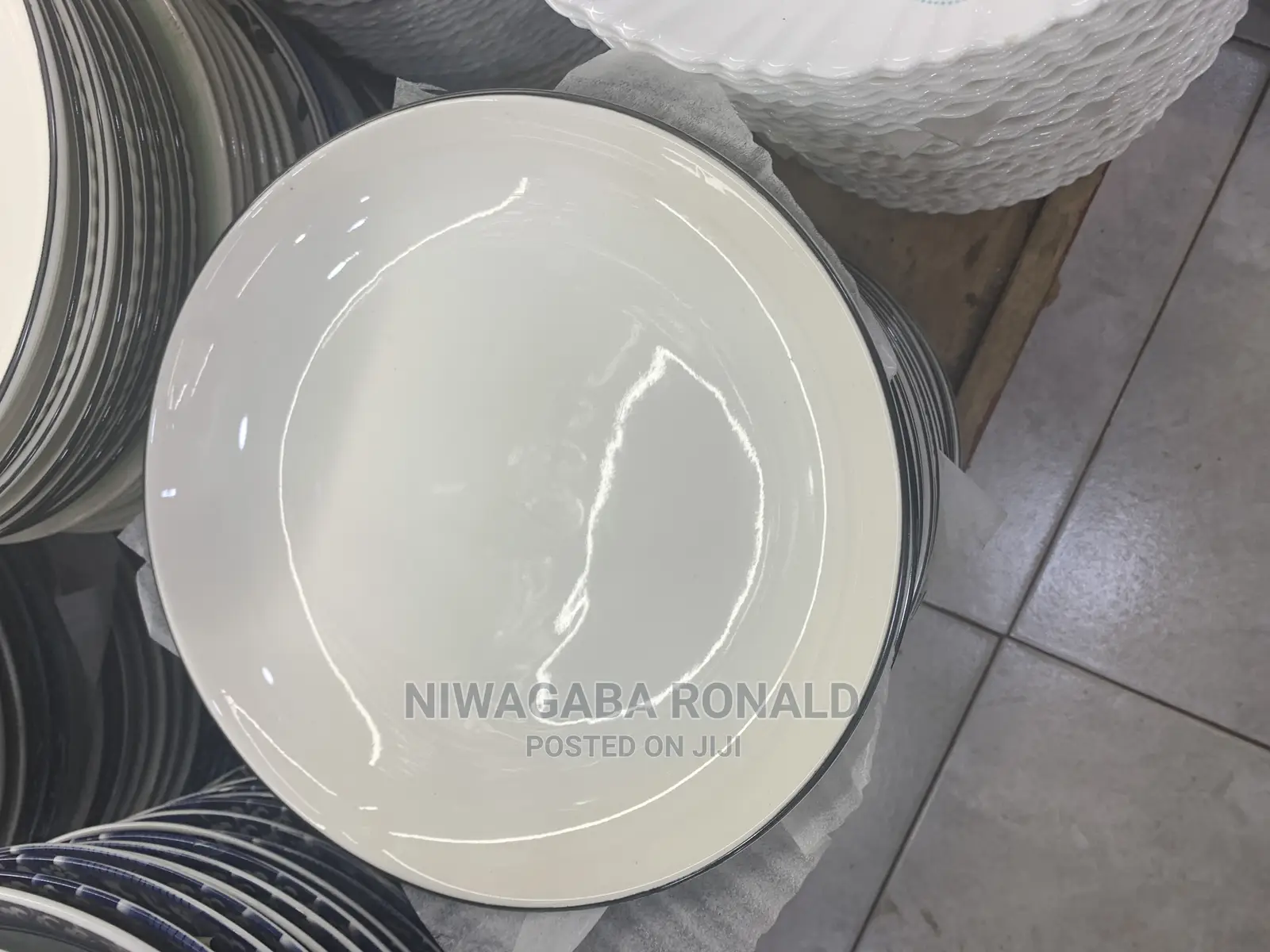 B~Line Dinner Plate