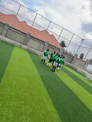 Artificial Turf Grass Carpet/Turf Grass