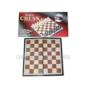 Brains Chess Educational Toys