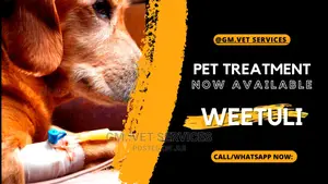 Veterinary Services